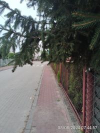 IMG_20240808_074457